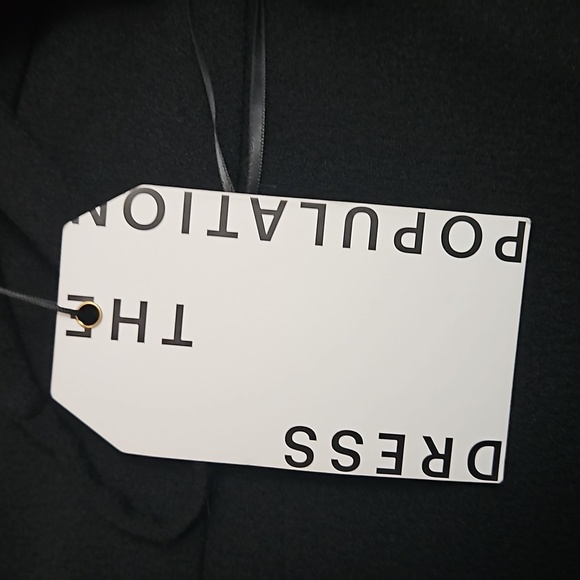 Dress The Population Long Mermaid Elegant Gown Slit Plunge Evening Iris Crepe - Picture 6 of 12